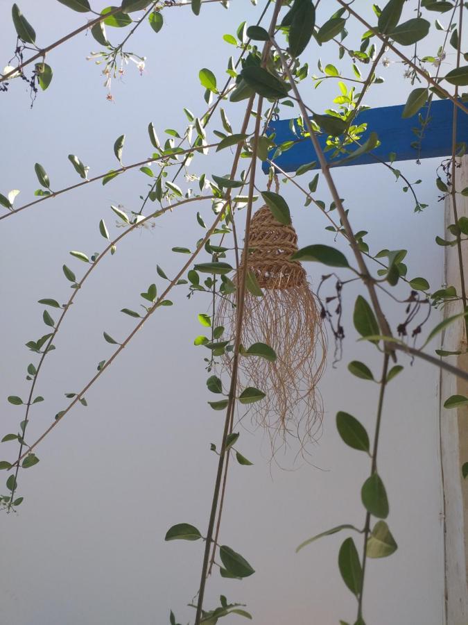 Dar Janis Djerba دار يانيس جربة Apartment Houmt Souk  Room photo