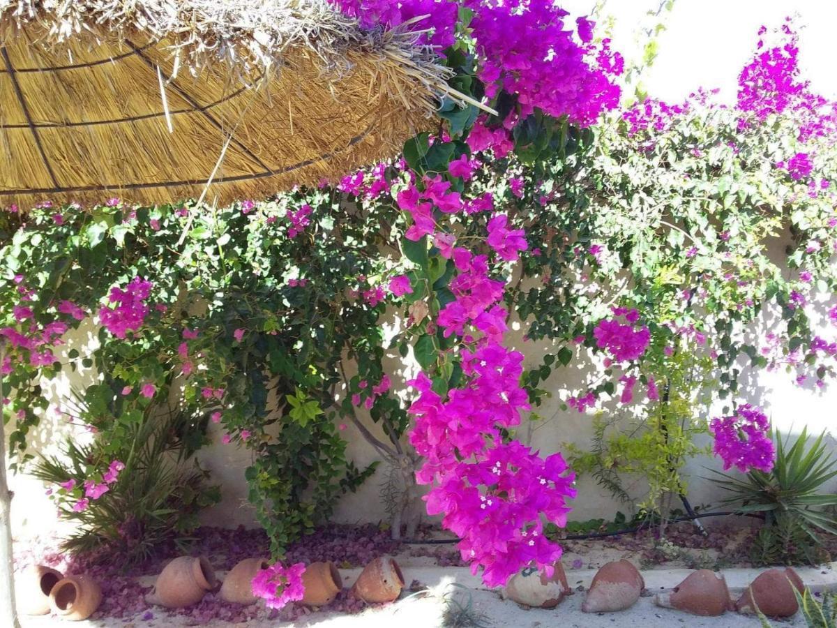 Dar Janis Djerba دار يانيس جربة Apartment Houmt Souk  Room photo